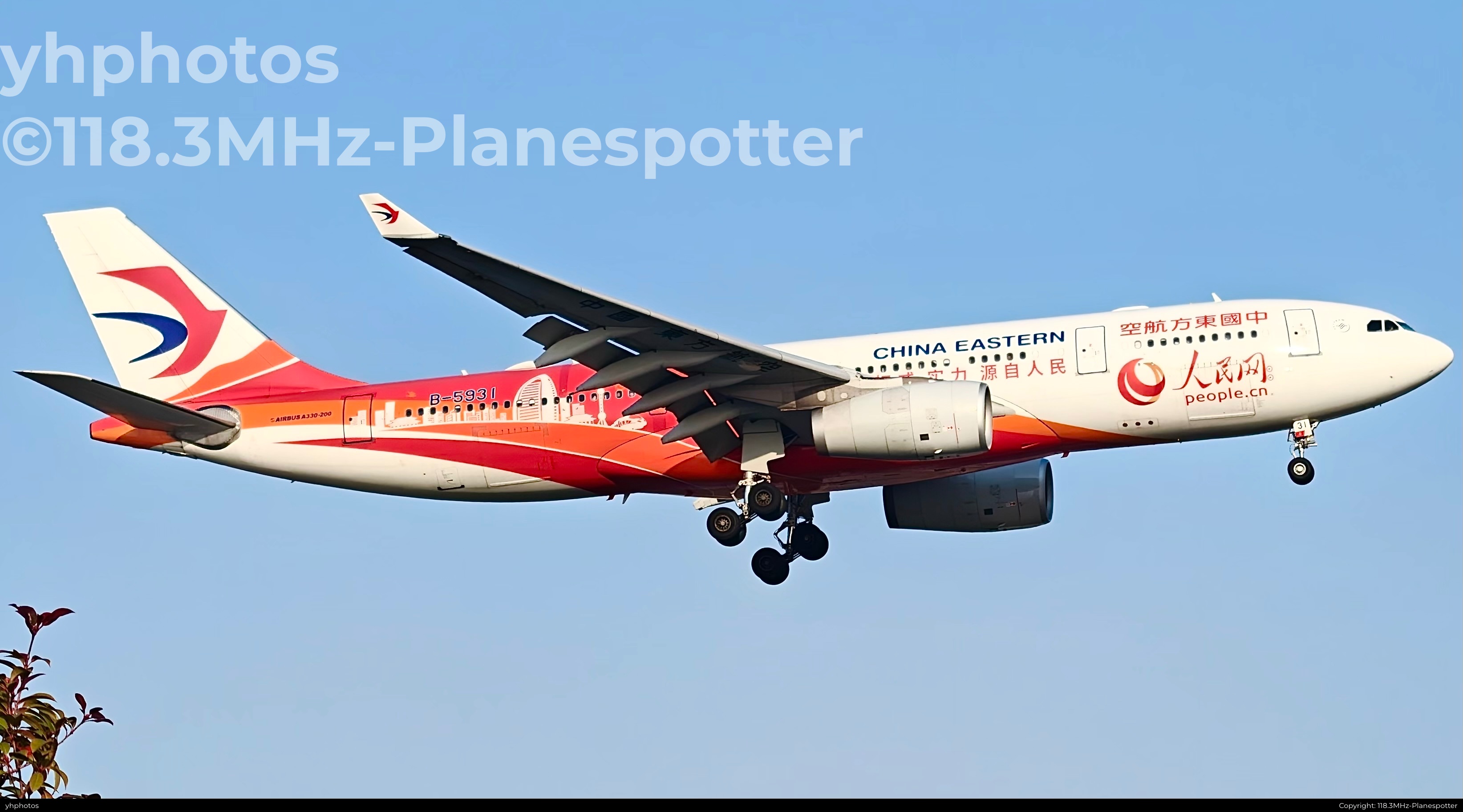 权威 实力 源自人民