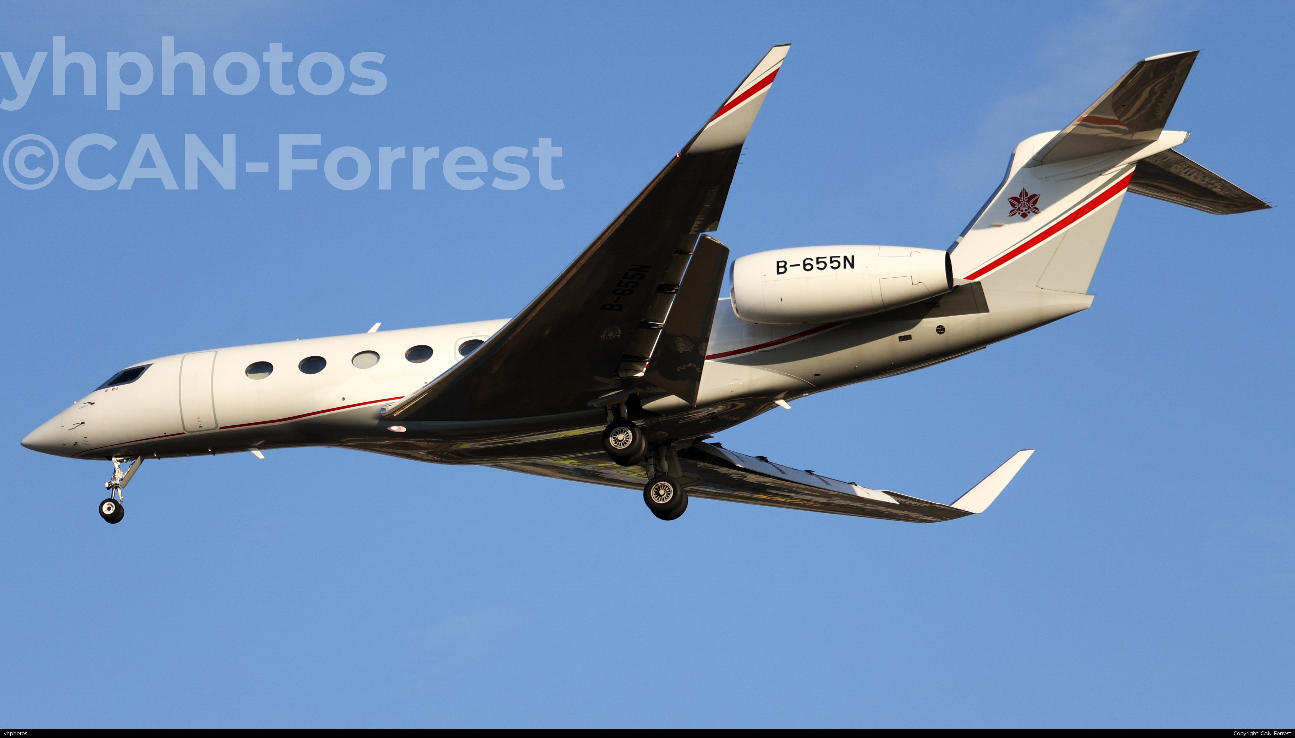 B-655N