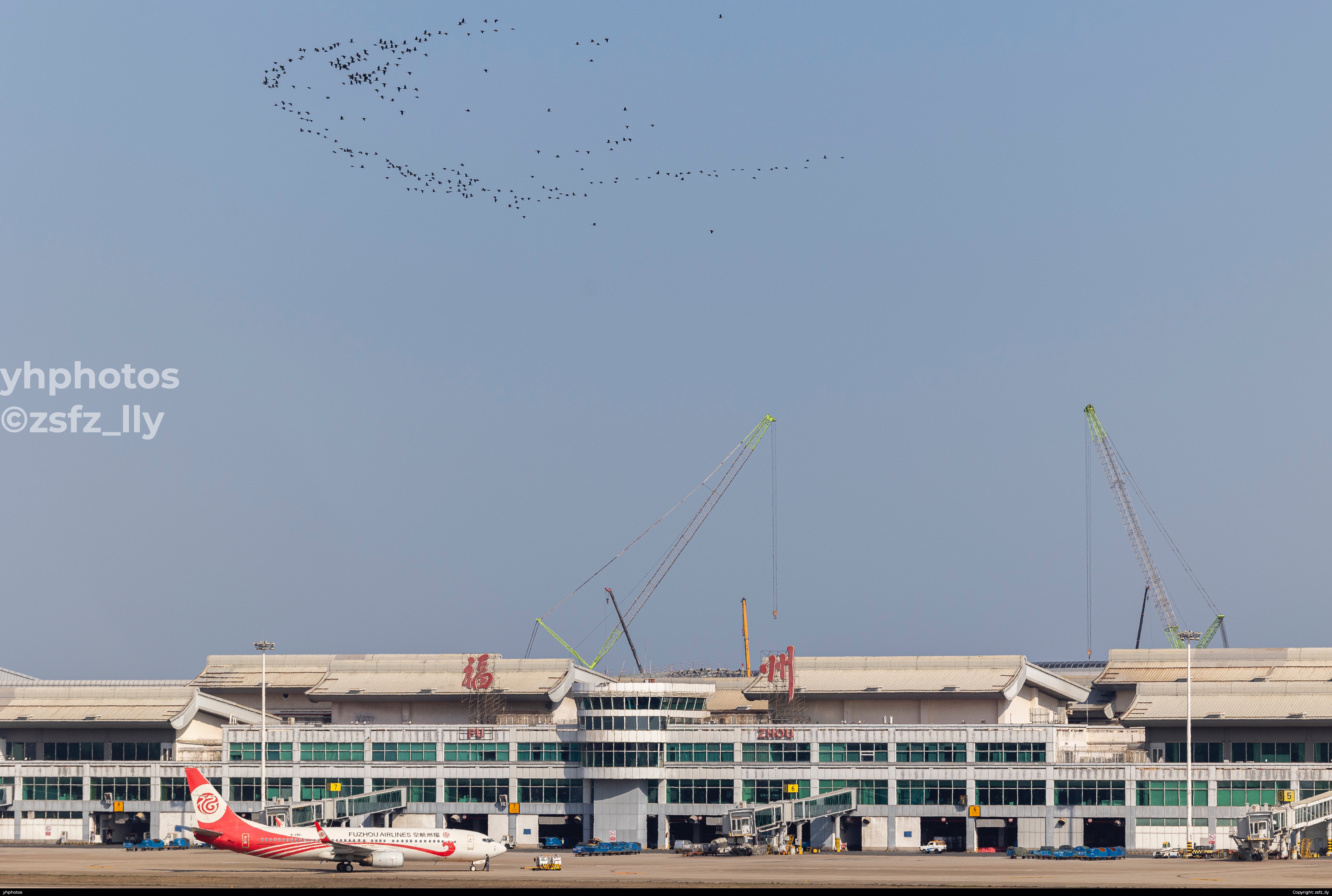 驱鸟明天别来了