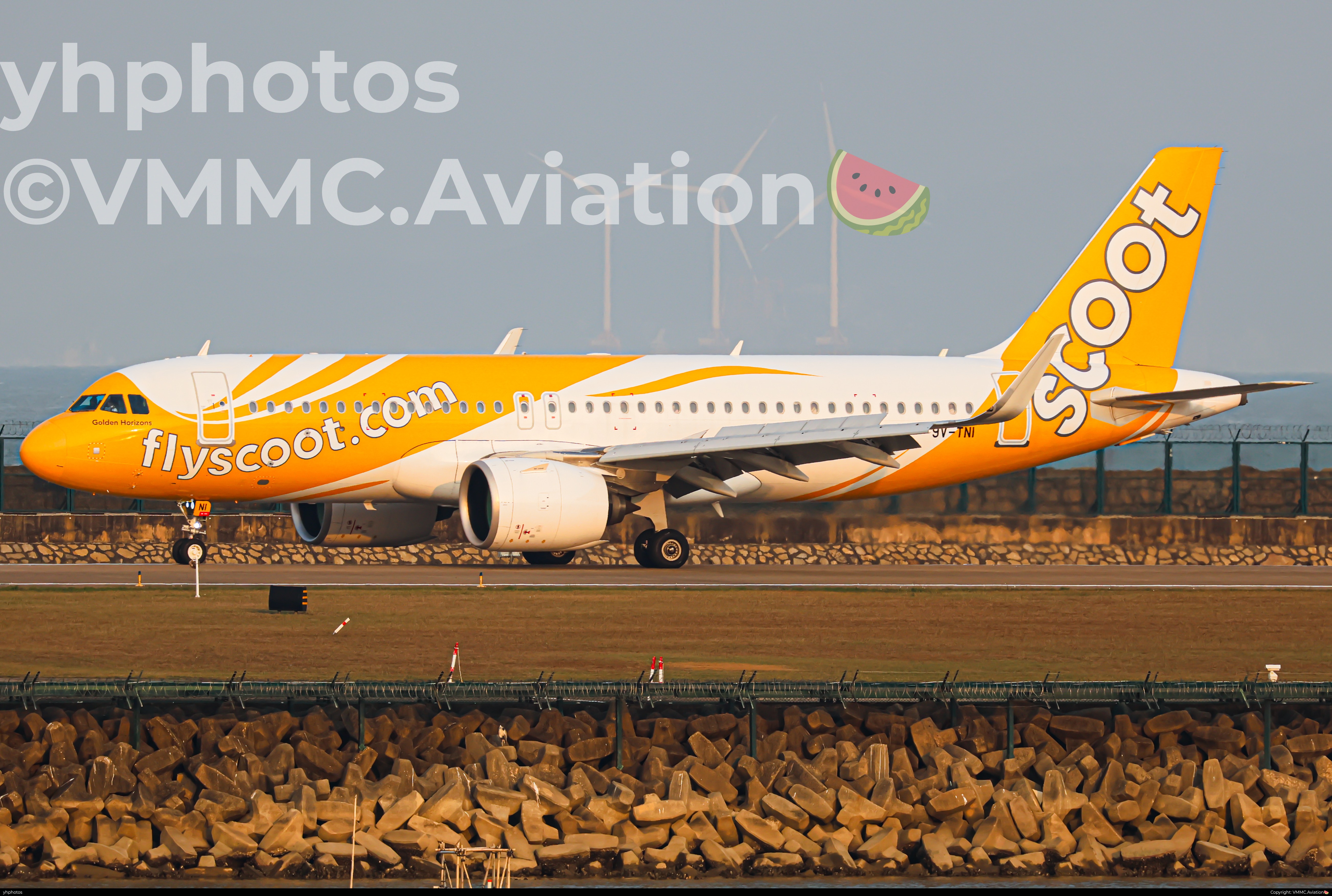 金光新加坡酷航