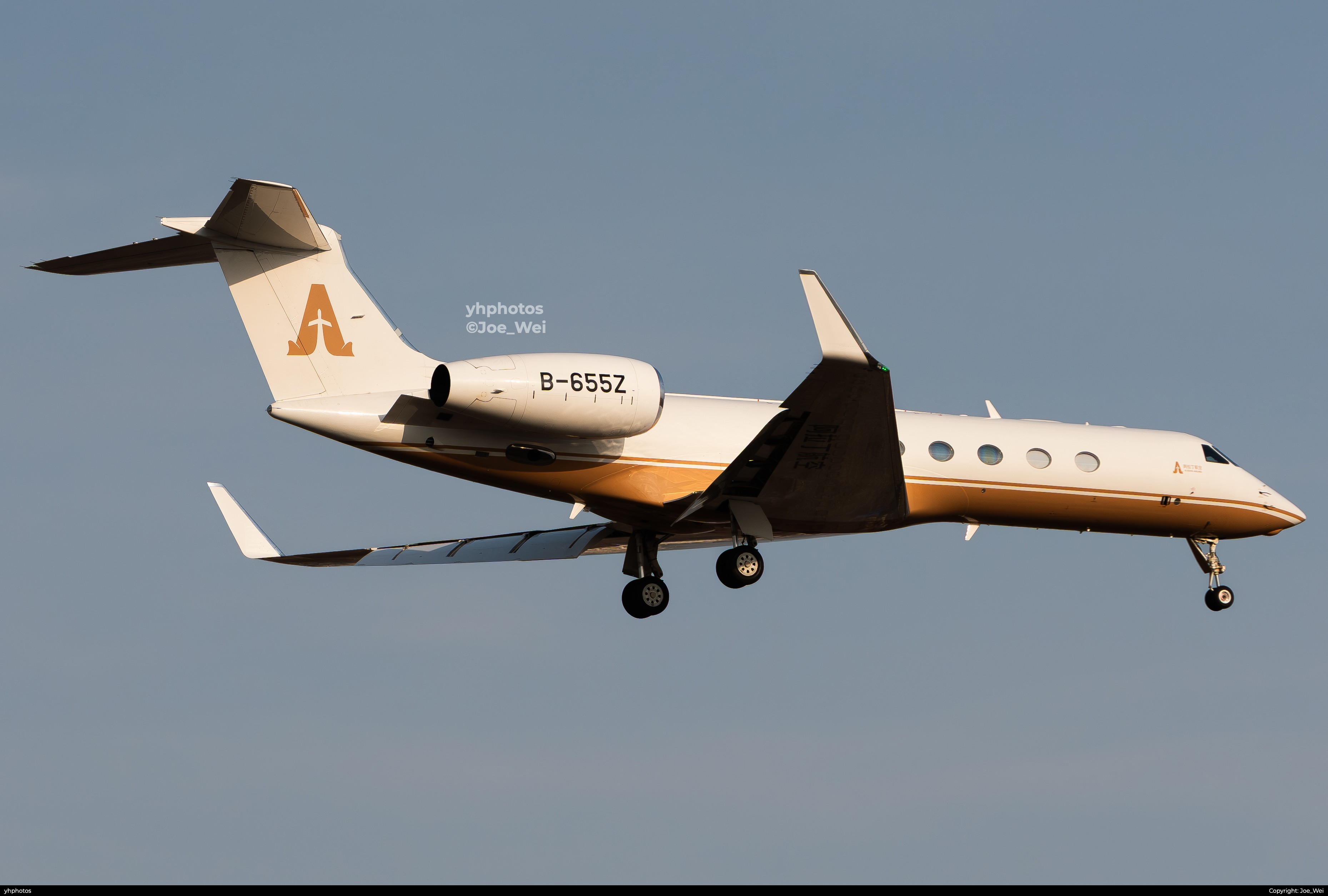 B-655Z