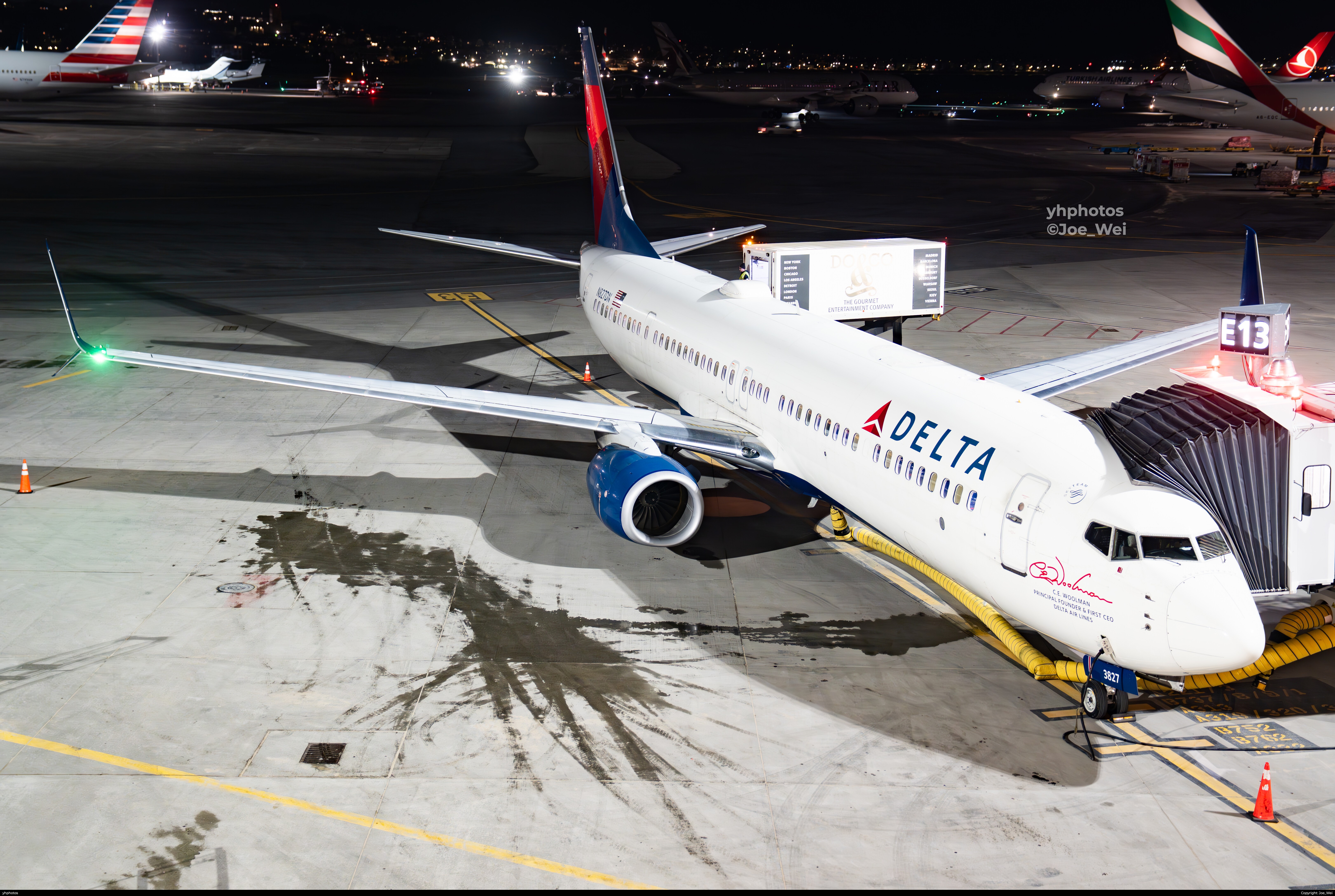 Delta First CEO Livery