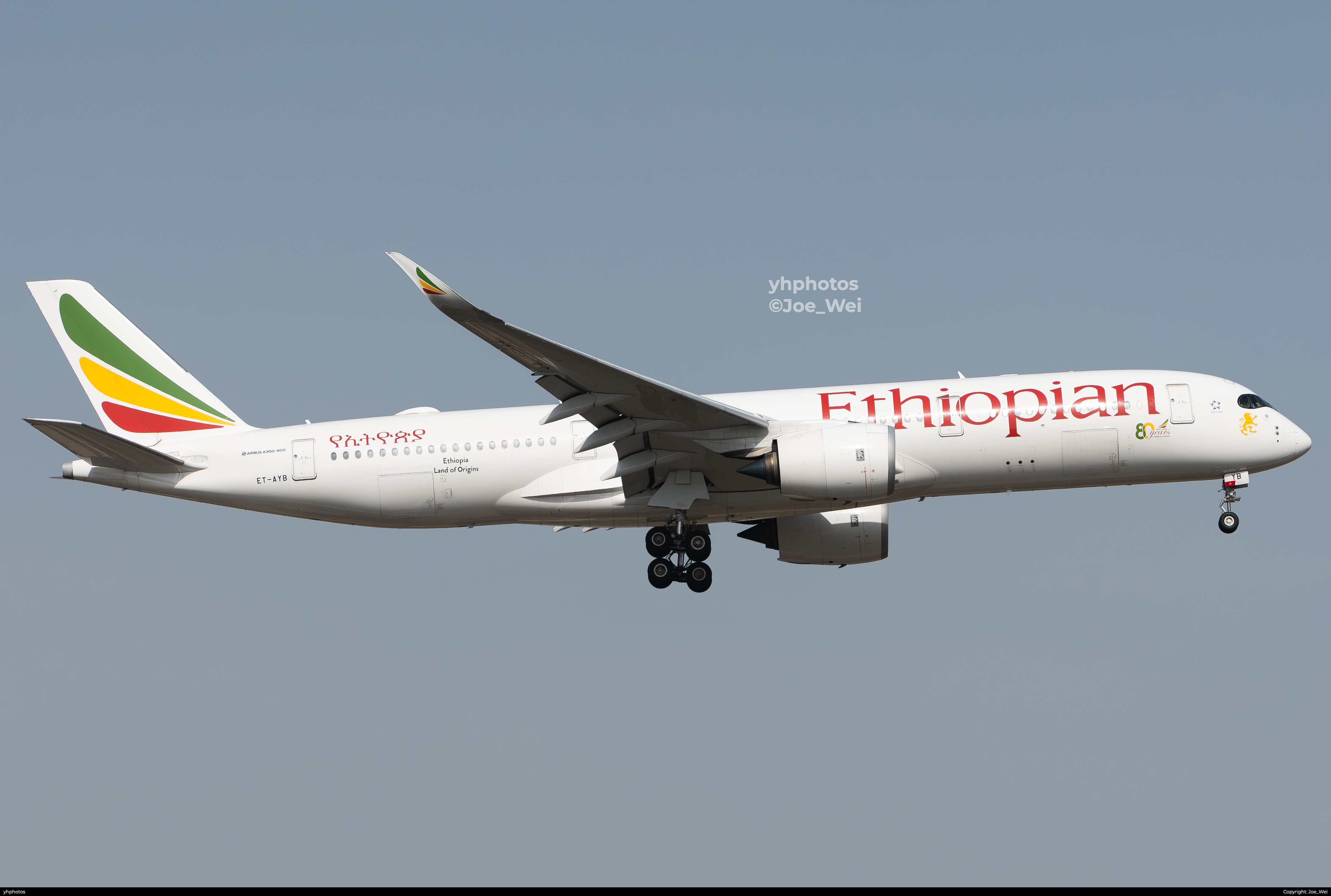 埃塞80周年贴纸