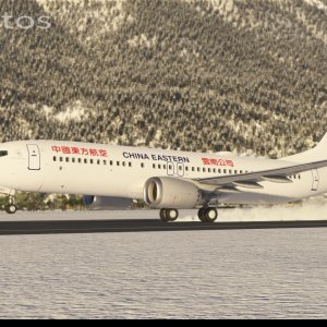 成为跨籍贯者河南人