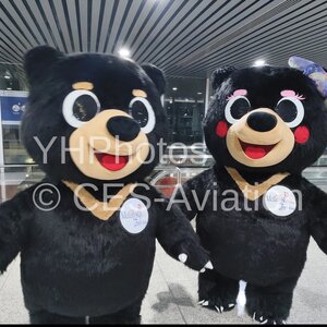 东航太原→吉隆坡首航小熊（吉隆坡）