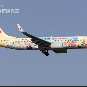 达菲和她的朋友们